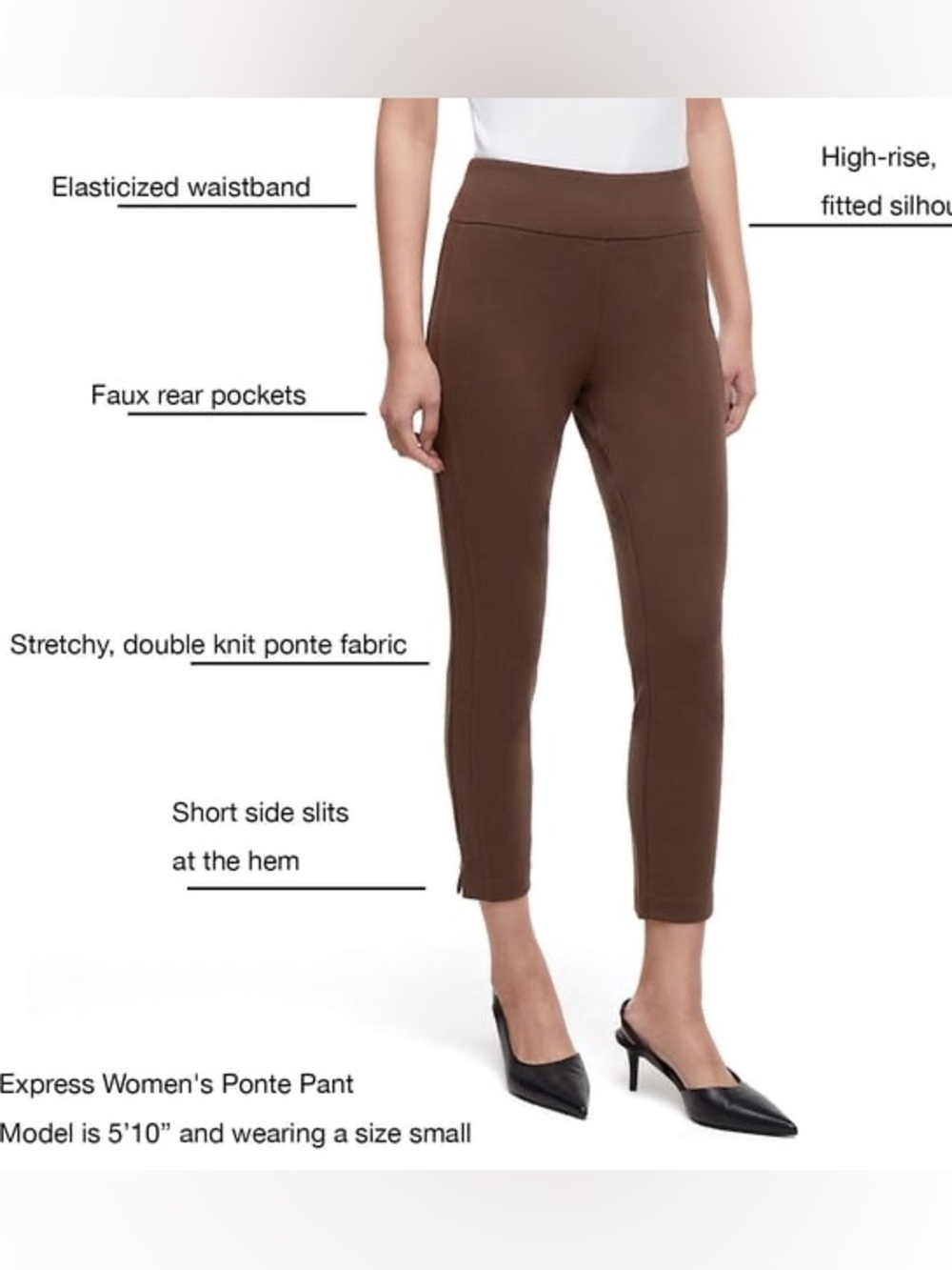 Express Ponte pants